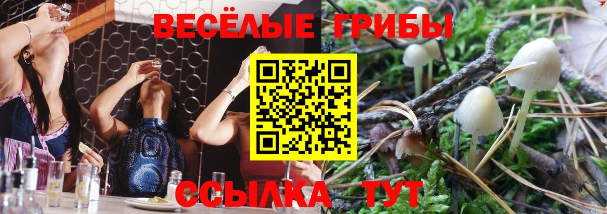 Псилоцибиновые грибы мухоморы  Вход с VPN  Саранск 